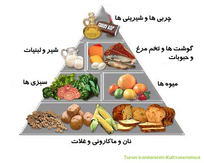 نقش تغذیه در سلامتی انسان نقش تغذیه در سلامتی انسان